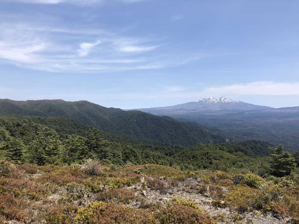 Volcanic plateau with Mount Ruapehu in the distance, central North Island